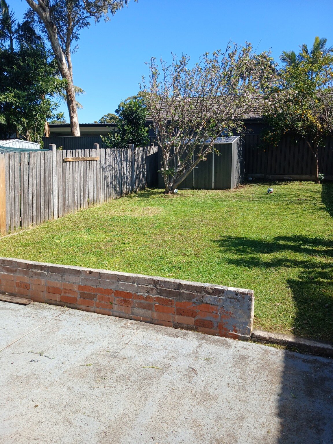 Neatly maintained backyard lawn behind a brick retaining wall on a sunny day
