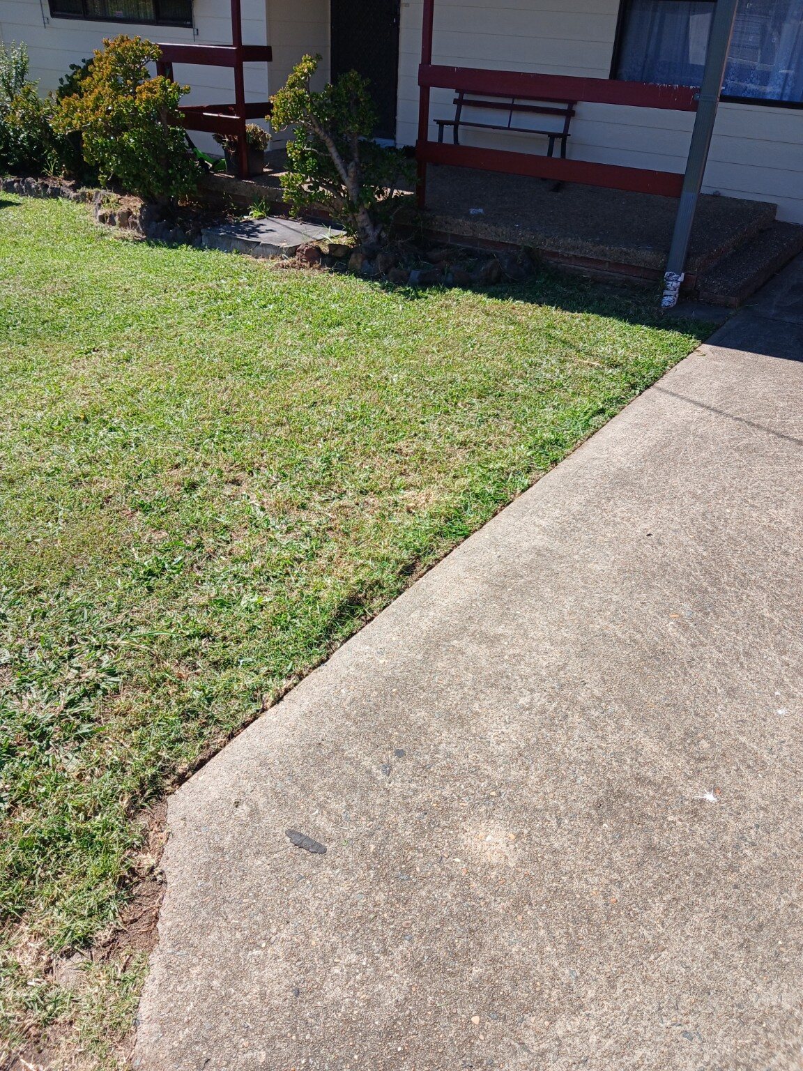 Clean, evenly mown front garden lawn beside a concrete path