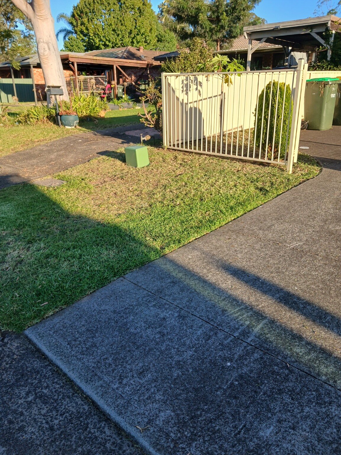 Freshly trimmed nature strip and front lawn with crisp edges along the footpath