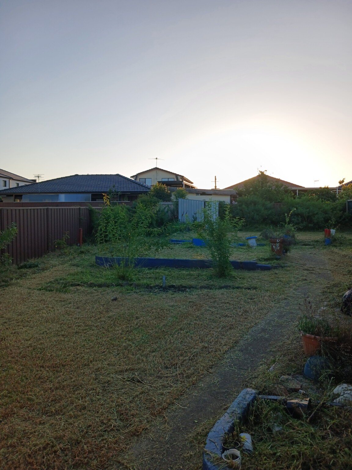 Large mowed backyard cleaned up at sunset by Sydney Wide Lawns
